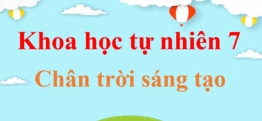 Bài tập về Nguyên tố Hóa học Lớp 7: Khám phá Thế giới Nguyên tử