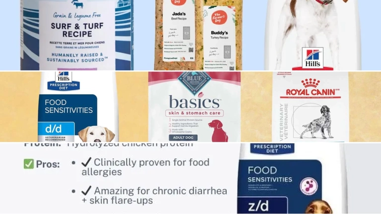Best hypoallergenic dog food for sensitive pups in 2026