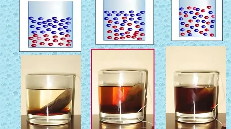 Các loại khuếch tán Các loại khuếch tán