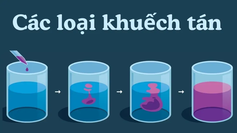 Các loại khuếch tán Các loại khuếch tán
