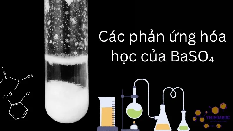 Các phản ứng hóa học của BaSO₄ Các phản ứng hóa học của BaSO₄