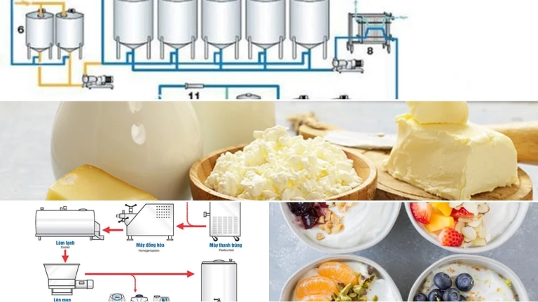 Cơ chế Lên Men Sữa Chua Hiểu Sâu Vào Quy Trình Sinh Học