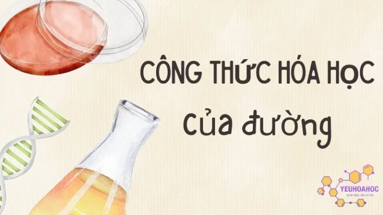 Công thức hóa học của đường - Tìm hiểu cấu trúc C6H12O6