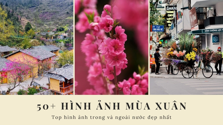 Hình Ảnh Thiên Nhiên Mùa Xuân Đẹp Nhất: Khoảnh Khắc Bừng Sức Sống 2026
