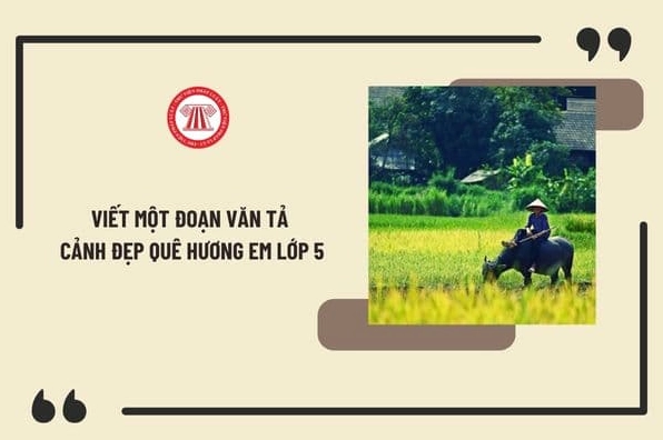 Khám phá vẻ đẹp quê hương em qua những trang văn sống động