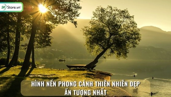 Khám phá vẻ đẹp say đắm lòng người với top ảnh phong cảnh thiên nhiên chill 2026