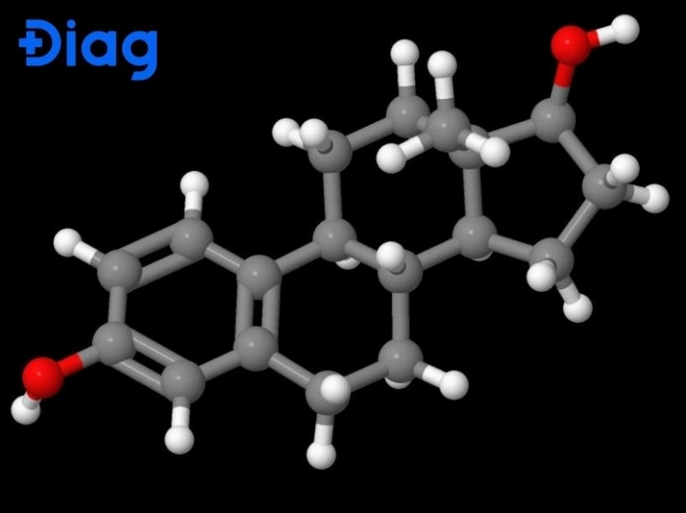 Lipid là gì? Tầm quan trọng và vai trò của lipid với sức khỏe