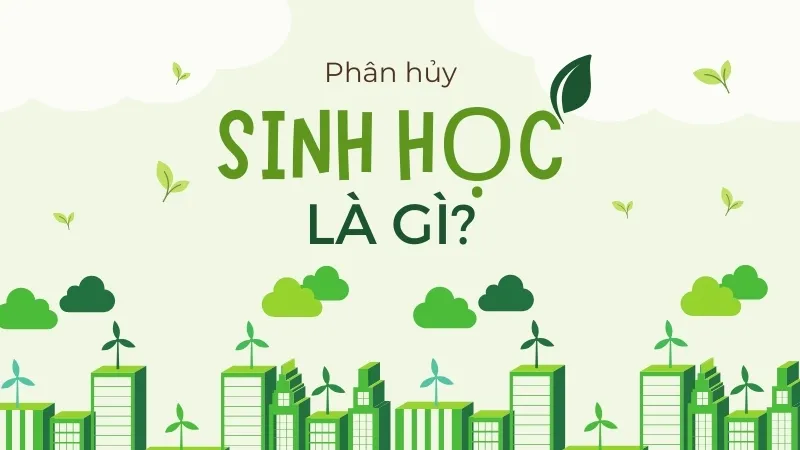 Giới thiệu về sự phân hủy sinh học Giới thiệu về sự phân hủy sinh học