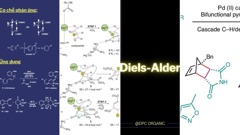 Phản ứng Diels-Alder Nền Tảng Tổng Hợp Hữu Cơ Hiện Đại