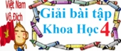 Tại sao lại có gió những nguyên nhân cơ bản và các loại gió chính