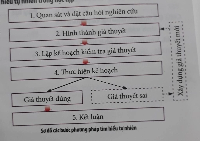 Tại sao trời lại mưa? Giải mã hiện tượng tự nhiên kỳ thú