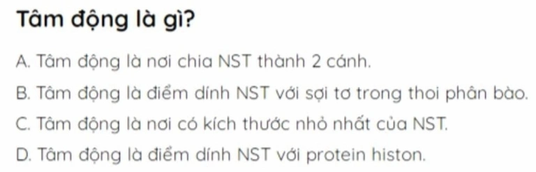 Tâm động là gì? Khám phá vai trò và cấu tạo trong tế bào