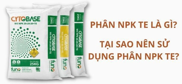Te là nguyên tố gì? Vai trò và ứng dụng trong nông nghiệp