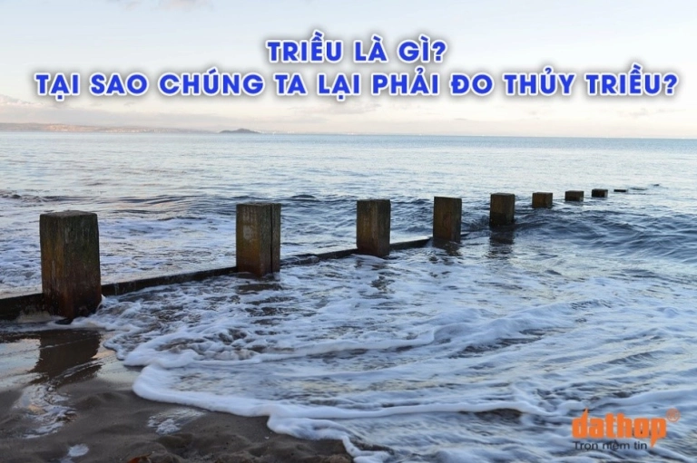 Thủy triều là gì? Giải mã hiện tượng tự nhiên kỳ thú