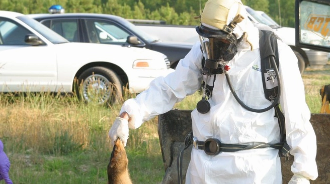 Tổ chức PETA là gì? Sự thật gây tranh cãi về "bảo vệ động vật"