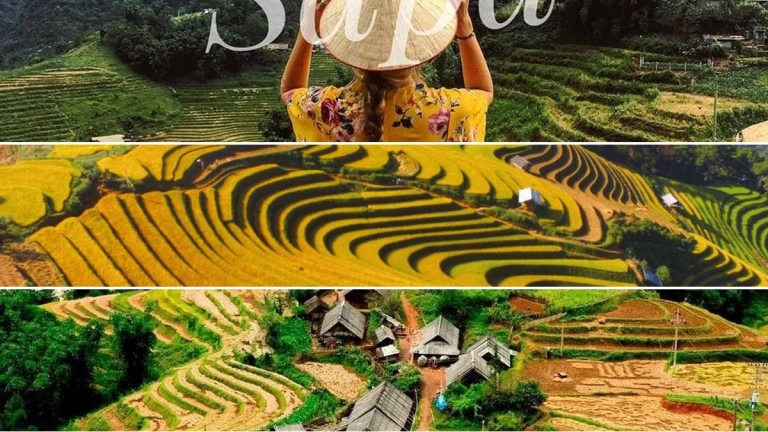 Tour du lịch Sapa mùa lúa chín và kinh nghiệm săn lúa vàng