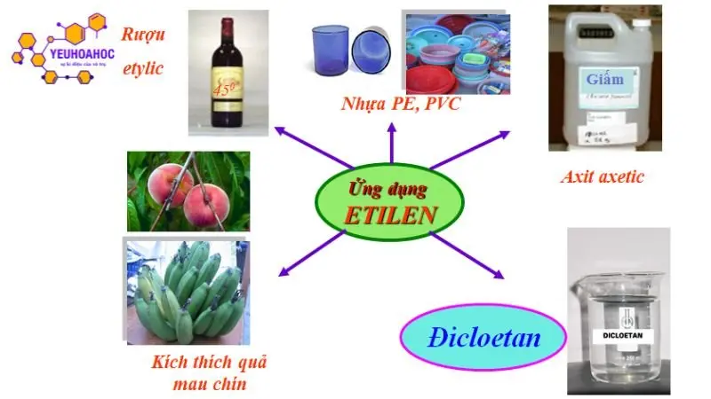 ung-dung-cua-etilen ung-dung-cua-etilen