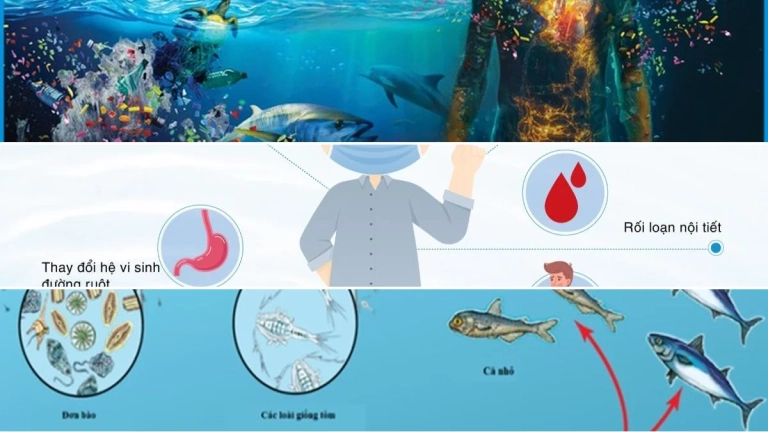 Vi Nhựa Là Gì Những Tác Hại Ảnh Hưởng Môi Trường Sức Khỏe
