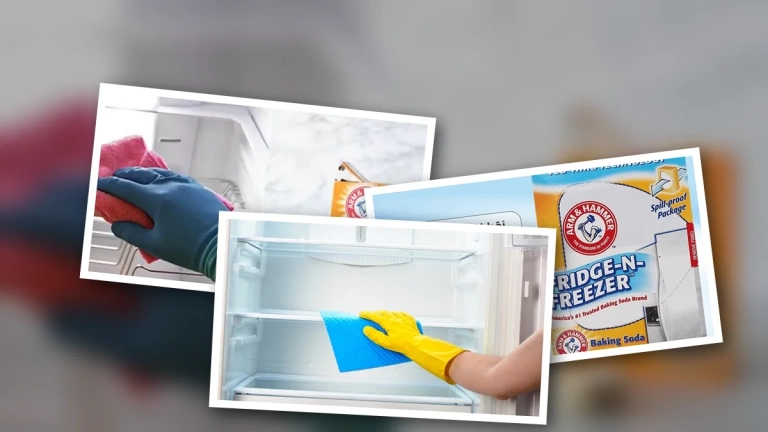 Vì Sao Baking Soda Là Giải Pháp Khử Mùi Tủ Lạnh Hiệu Quả