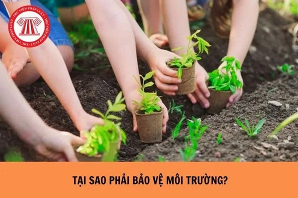 Vì sao phải bảo vệ môi trường và những hành động thiết thực