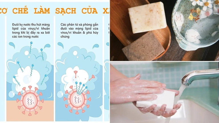 Vì Sao Xà Phòng Làm Sạch Dầu Mỡ Hiệu Quả Hơn Nước