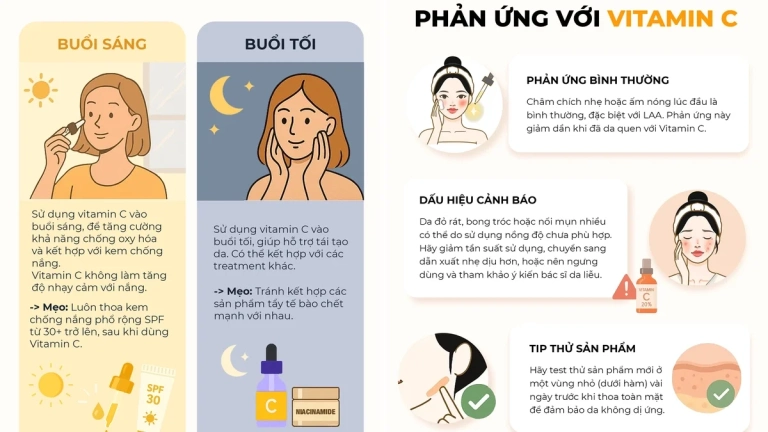 Vitamin C Dạng Nào Dễ Hấp Thu Và Cơ Chế Hoạt Động Mỹ Phẩm